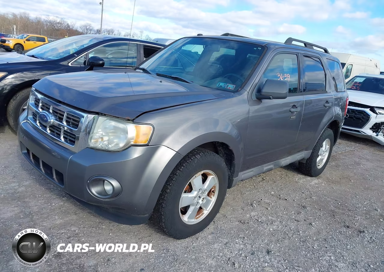 2009 Ford Escape Xlt VIN:1FMCU93G59KA81962 - 2