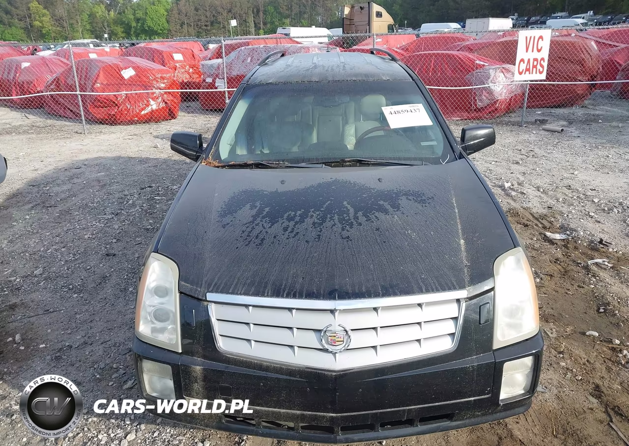2006 Cadillac Srx V6 VIN:1GYEE637060217618 - 6