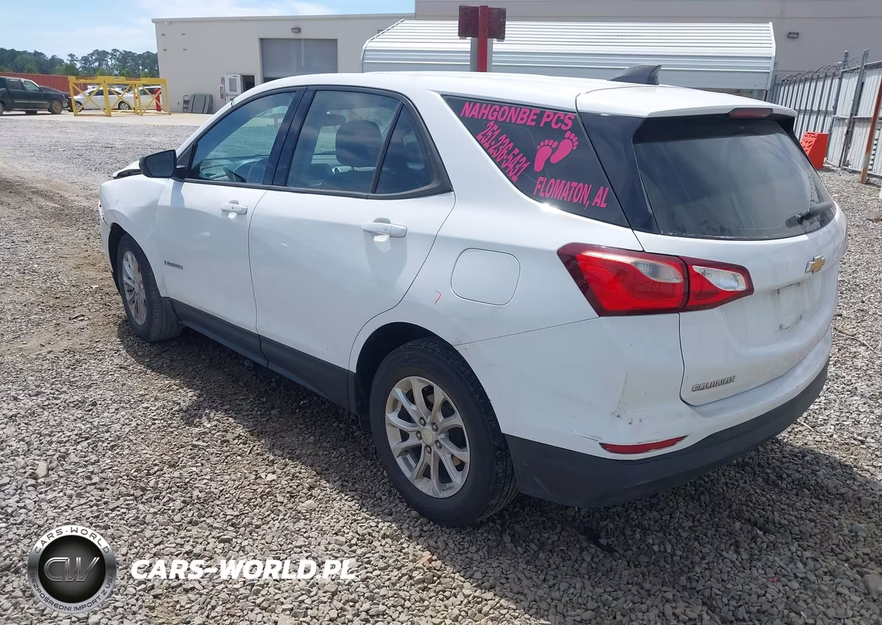 2019 Chevrolet Equinox Ls VIN:3GNAXHEV4KS644770 - 3