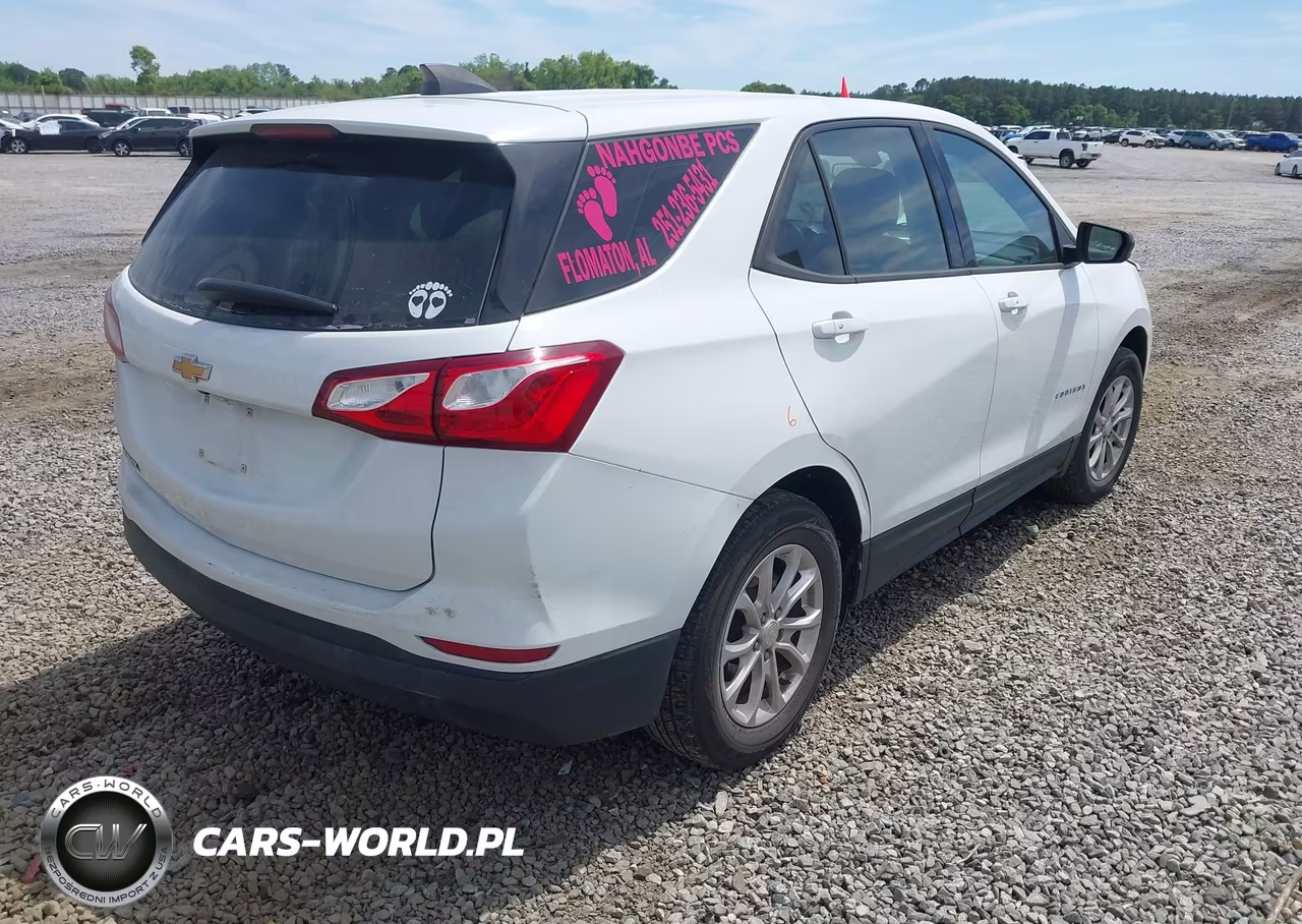 2019 Chevrolet Equinox Ls VIN:3GNAXHEV4KS644770 - 4