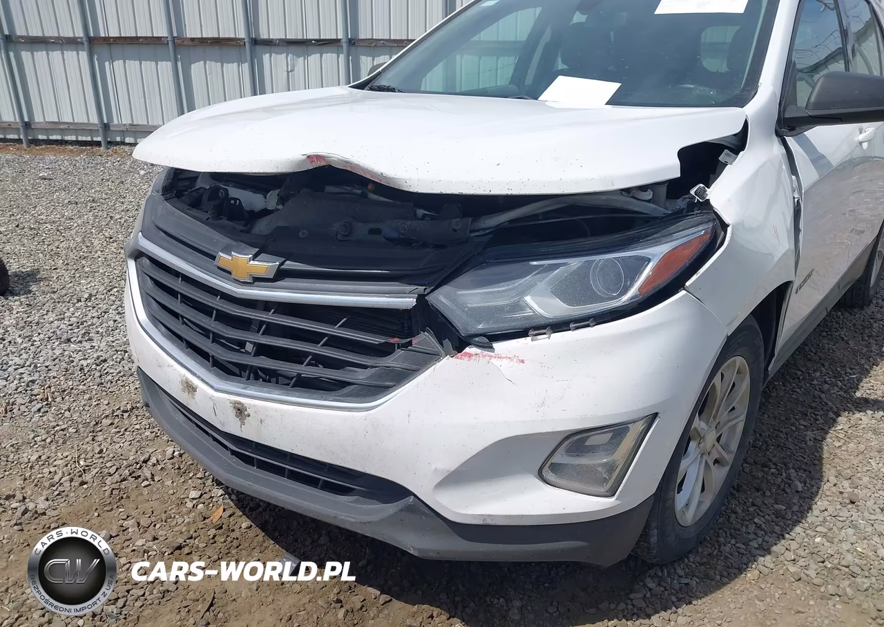 2019 Chevrolet Equinox Ls VIN:3GNAXHEV4KS644770 - 6