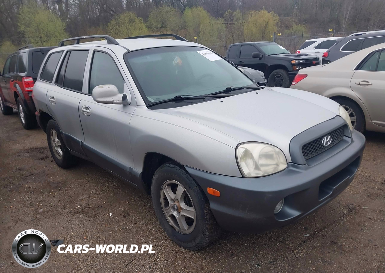 2004 Hyundai Santa Fe Gls-Lx