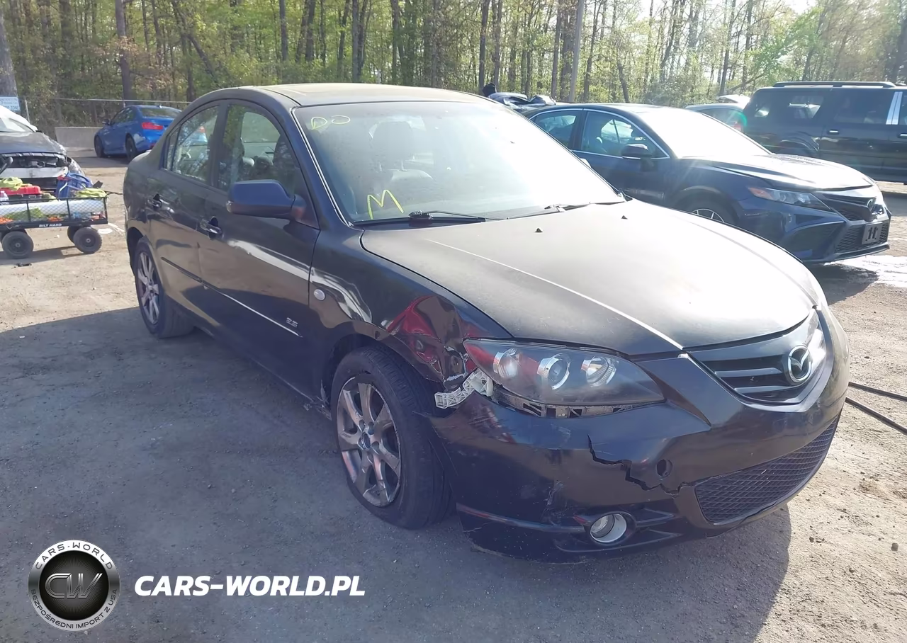 2004 Mazda Mazda3 S VIN:JM1BK323841215654 - 6