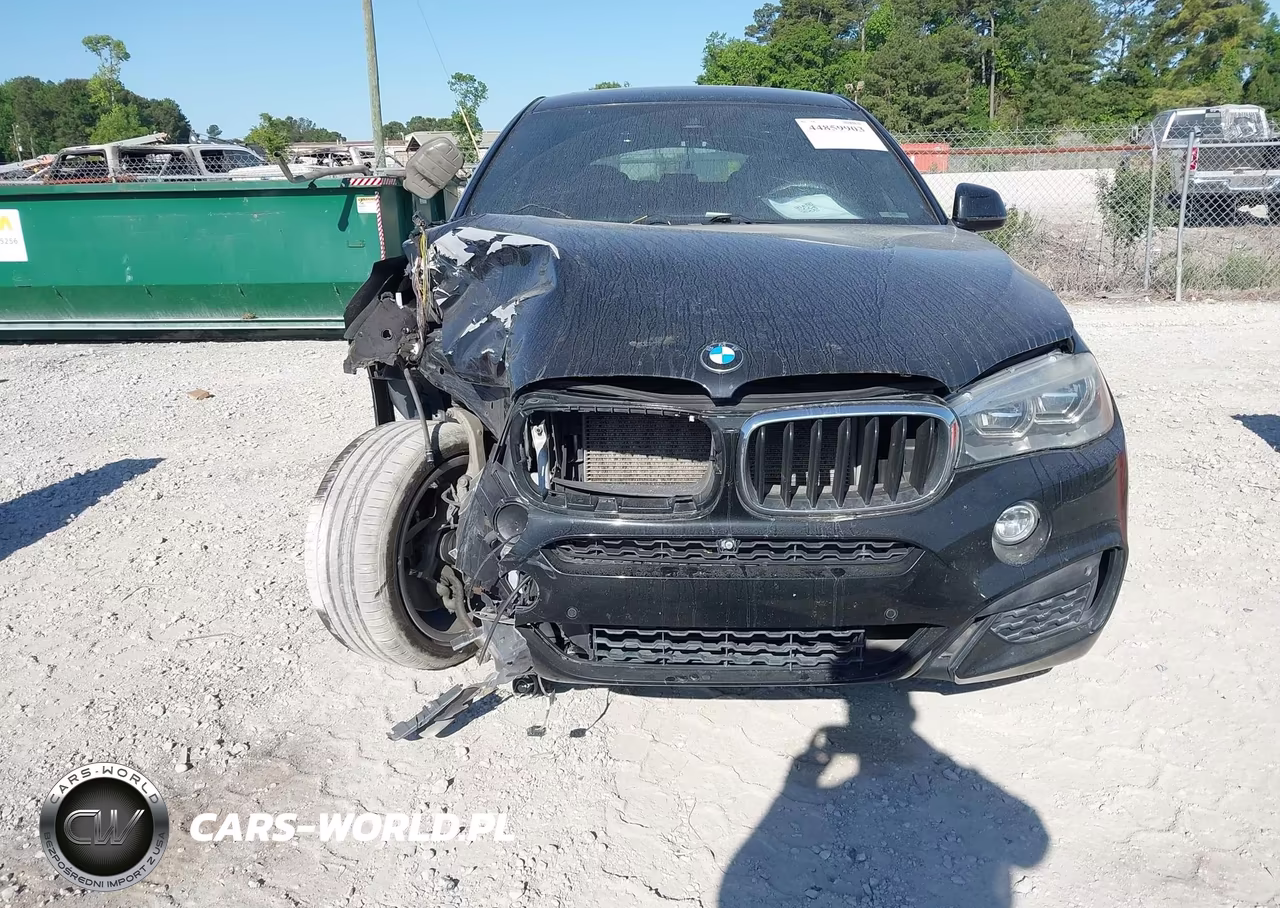 2016 BMW X6 xDrive35I VIN:5UXKU2C58G0N78839 - 12