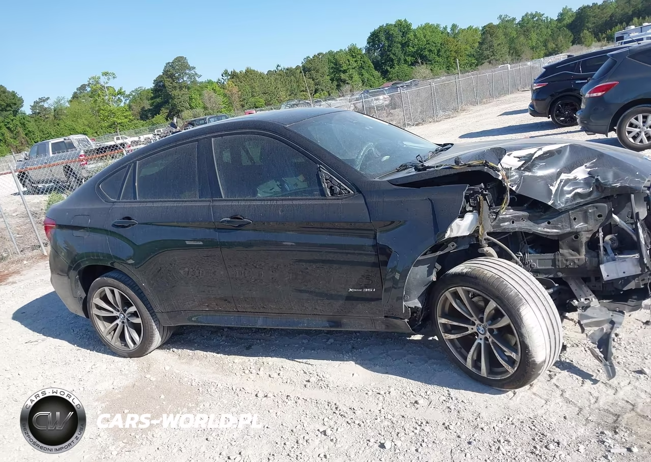 2016 BMW X6 xDrive35I VIN:5UXKU2C58G0N78839 - 13
