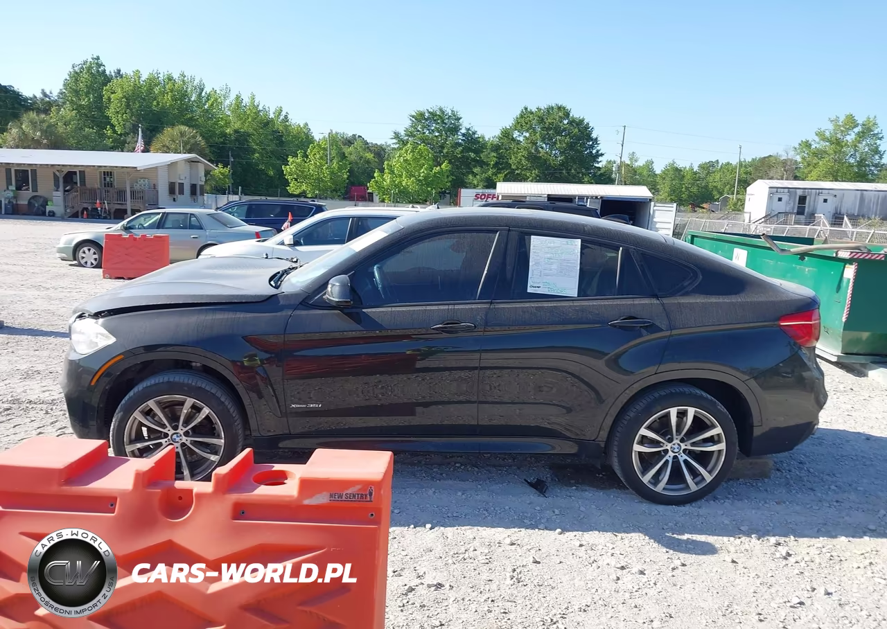 2016 BMW X6 xDrive35I VIN:5UXKU2C58G0N78839 - 14