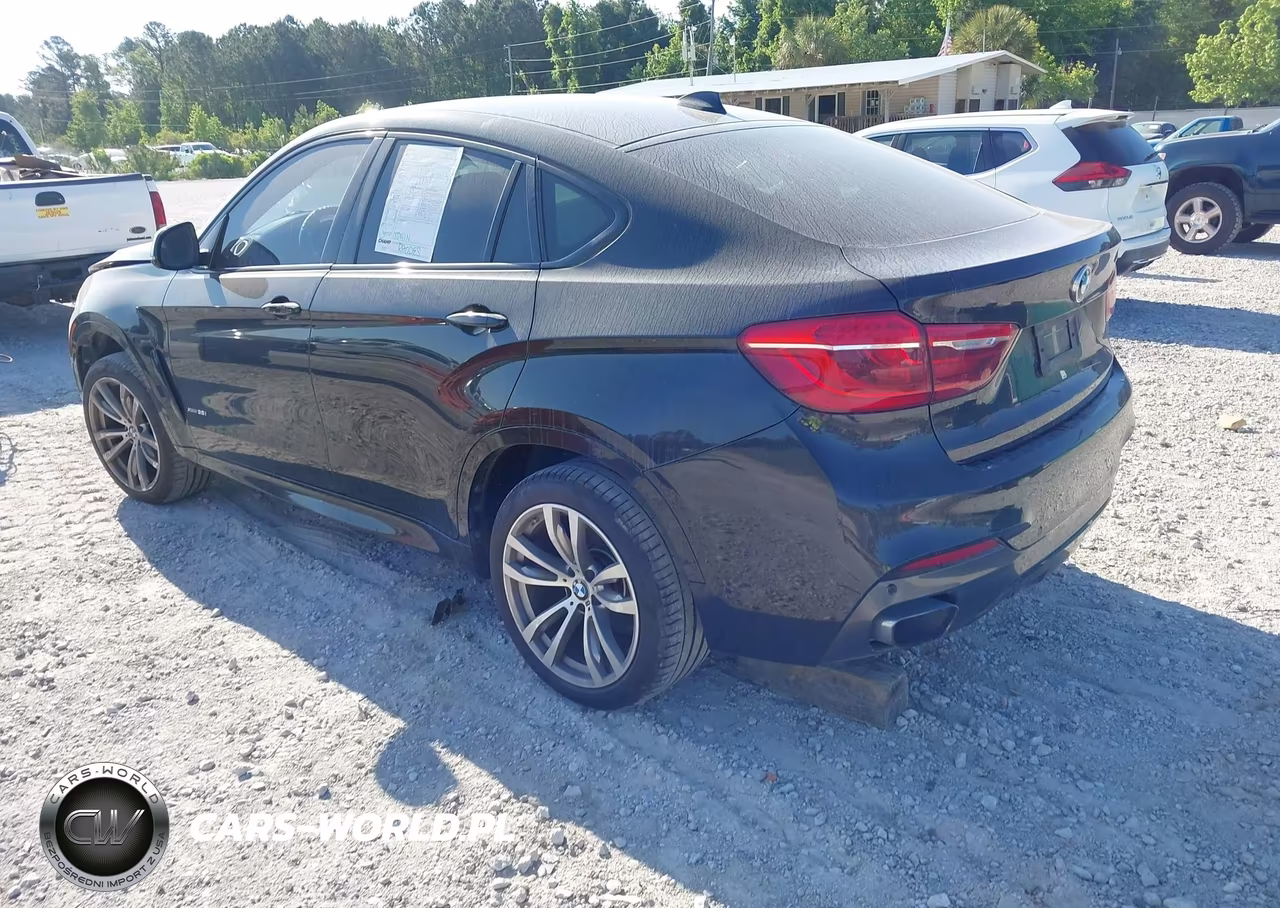 2016 BMW X6 xDrive35I VIN:5UXKU2C58G0N78839 - 3