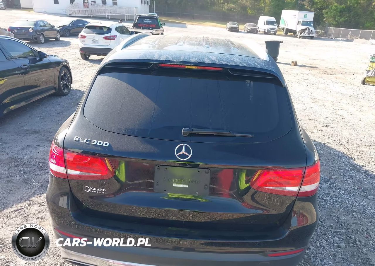2017 Mercedes-Benz Glc 300 VIN:WDC0G4JB4HV005696 - 16