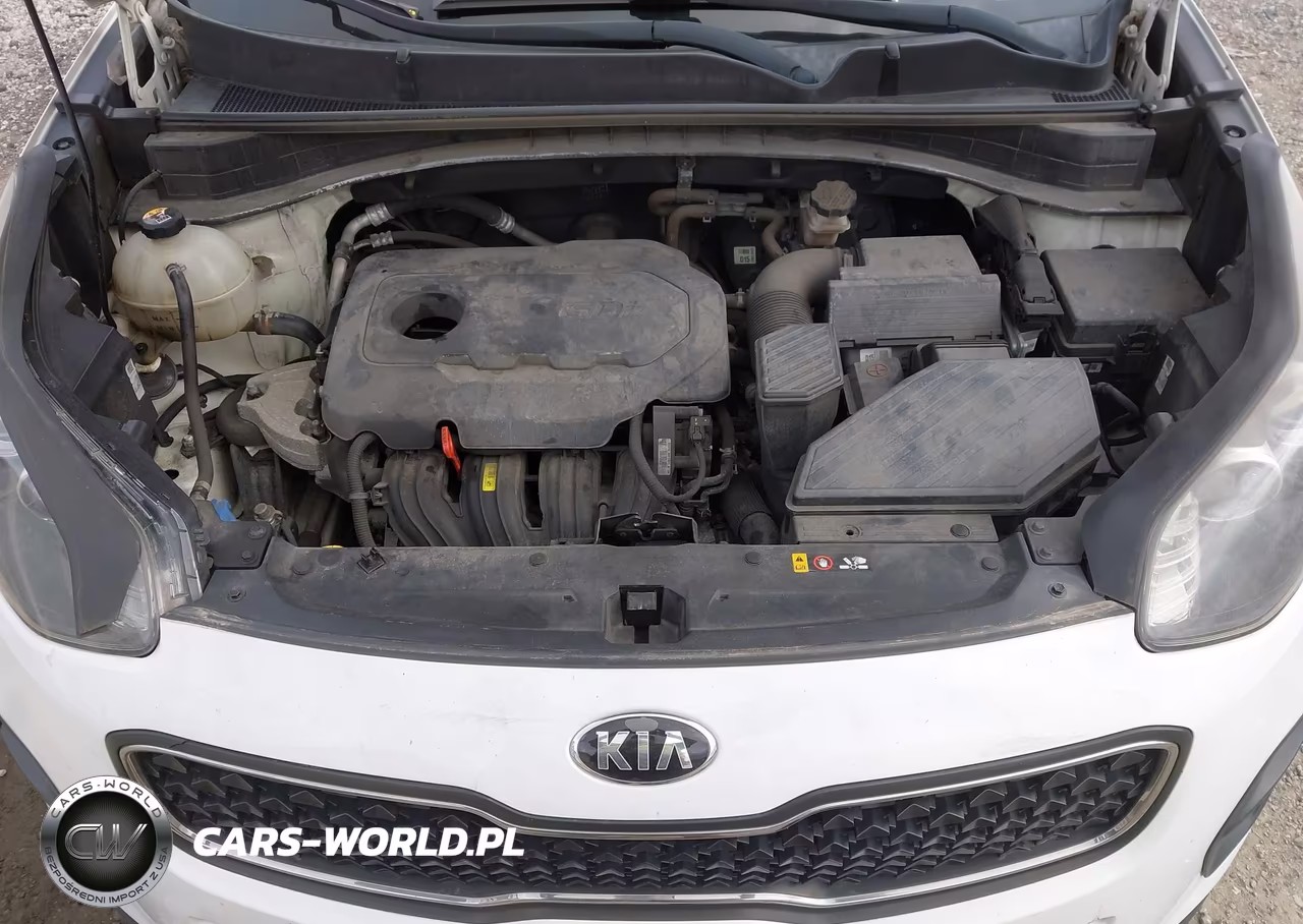 2017 Kia Sportage Lx VIN:KNDPM3AC5H7214899 - 10