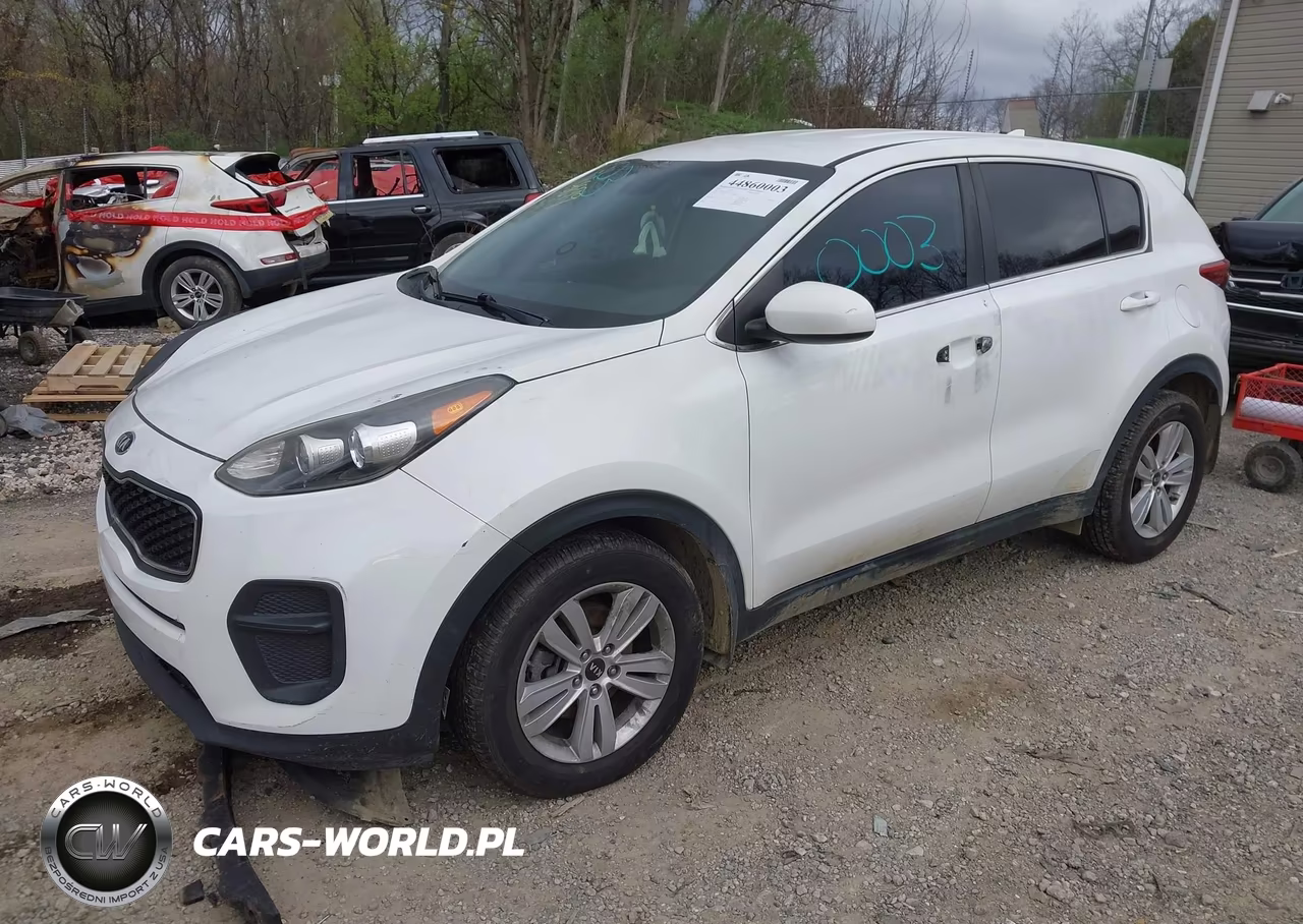 2017 Kia Sportage Lx VIN:KNDPM3AC5H7214899 - 2