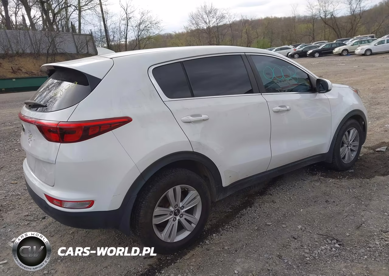2017 Kia Sportage Lx VIN:KNDPM3AC5H7214899 - 4