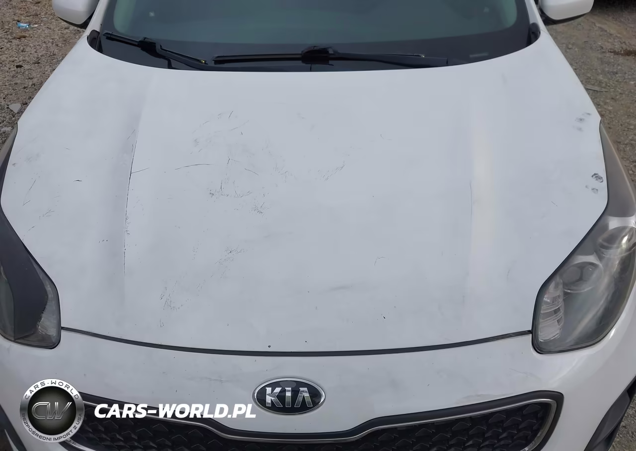 2017 Kia Sportage Lx VIN:KNDPM3AC5H7214899 - 6