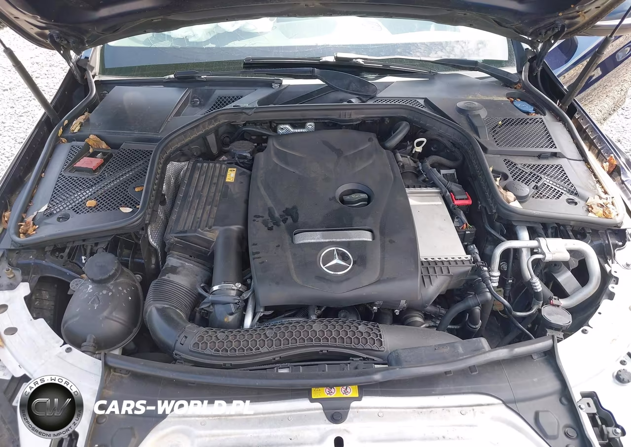 2015 Mercedes-Benz C 300 4Matic VIN:55SWF4KBXFU012115 - 10