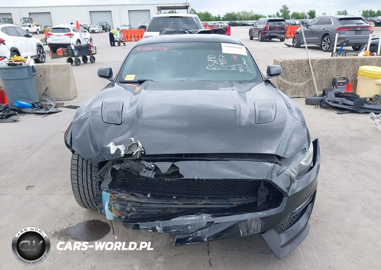 2017 Ford Mustang Gt Premium VIN:1FA6P8CF6H5306323 - 12