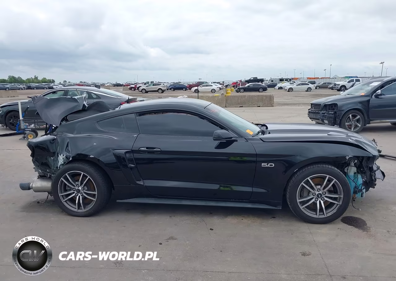2017 Ford Mustang Gt Premium VIN:1FA6P8CF6H5306323 - 13