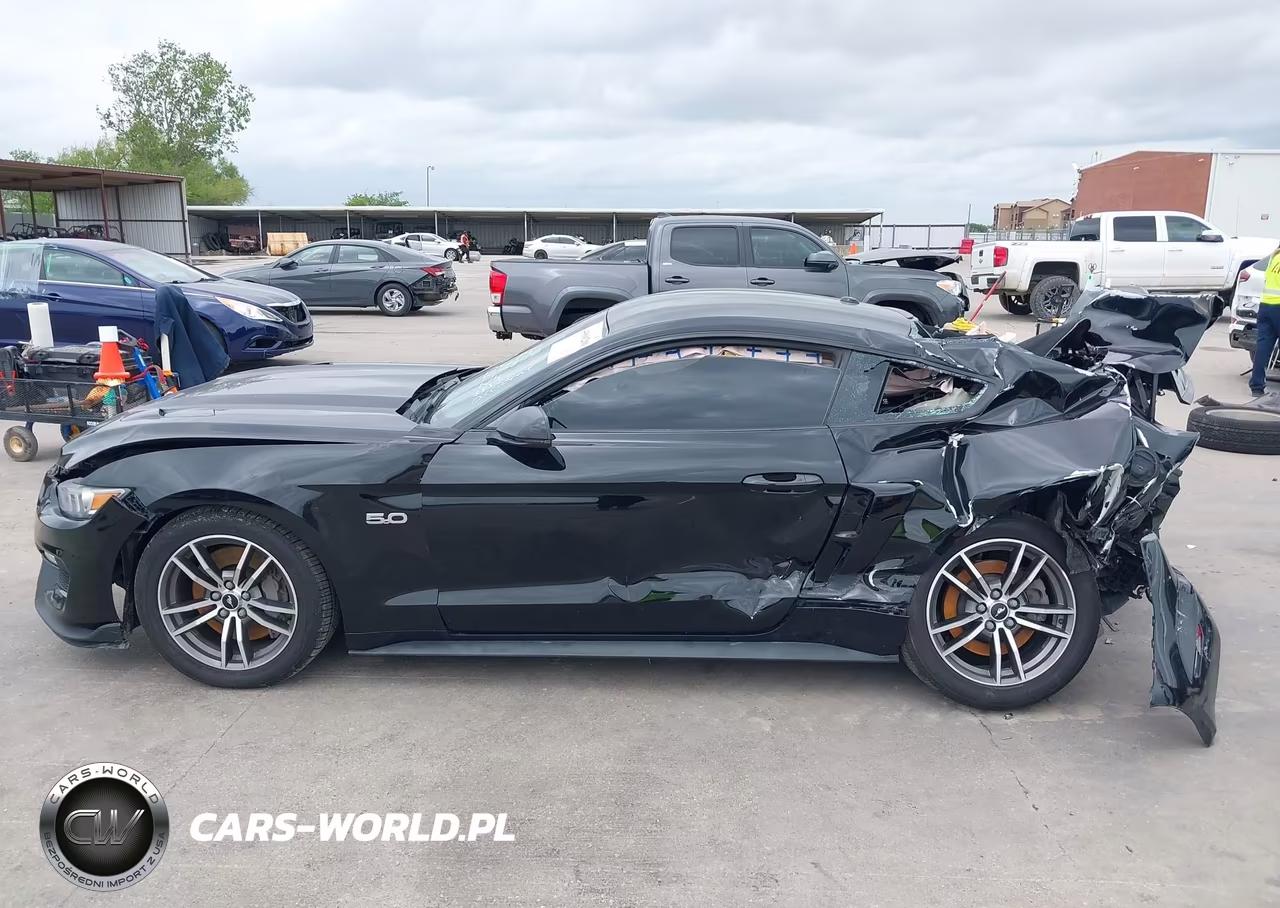 2017 Ford Mustang Gt Premium VIN:1FA6P8CF6H5306323 - 14