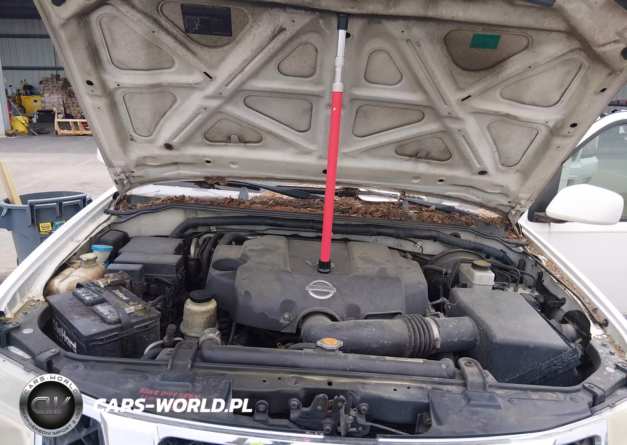 2008 Nissan Pathfinder Le V8 VIN:5N1BR18AX8C613847 - 10