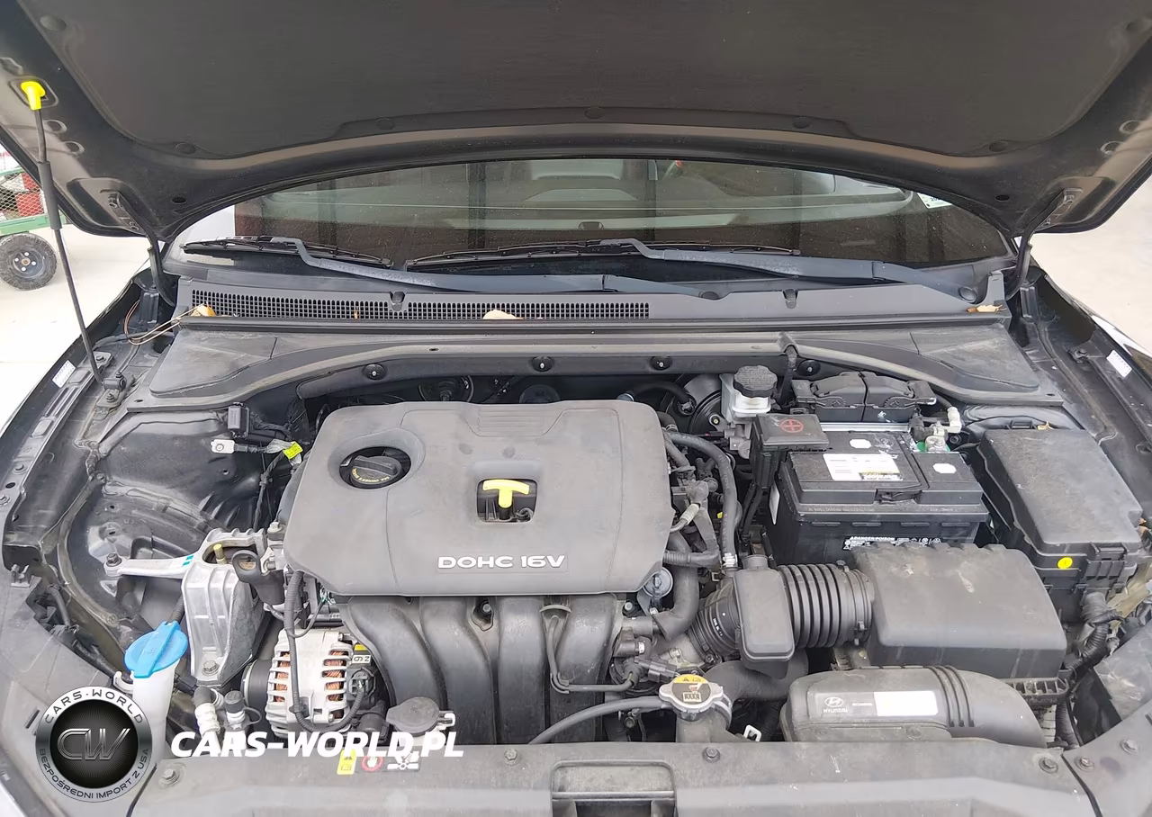 2019 Hyundai Veloster 2.0 Premium VIN:KMHTG6AF7KU005766 - 10