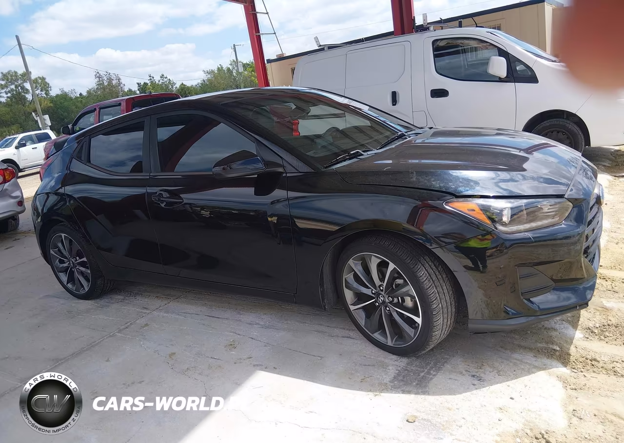 2019 Hyundai Veloster 2.0 Premium VIN:KMHTG6AF7KU005766 - 13