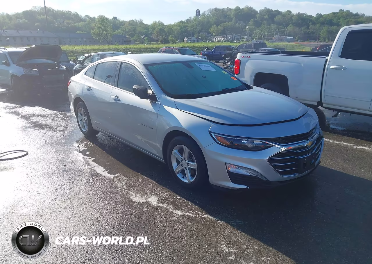 2019 Chevrolet Malibu 1Fl