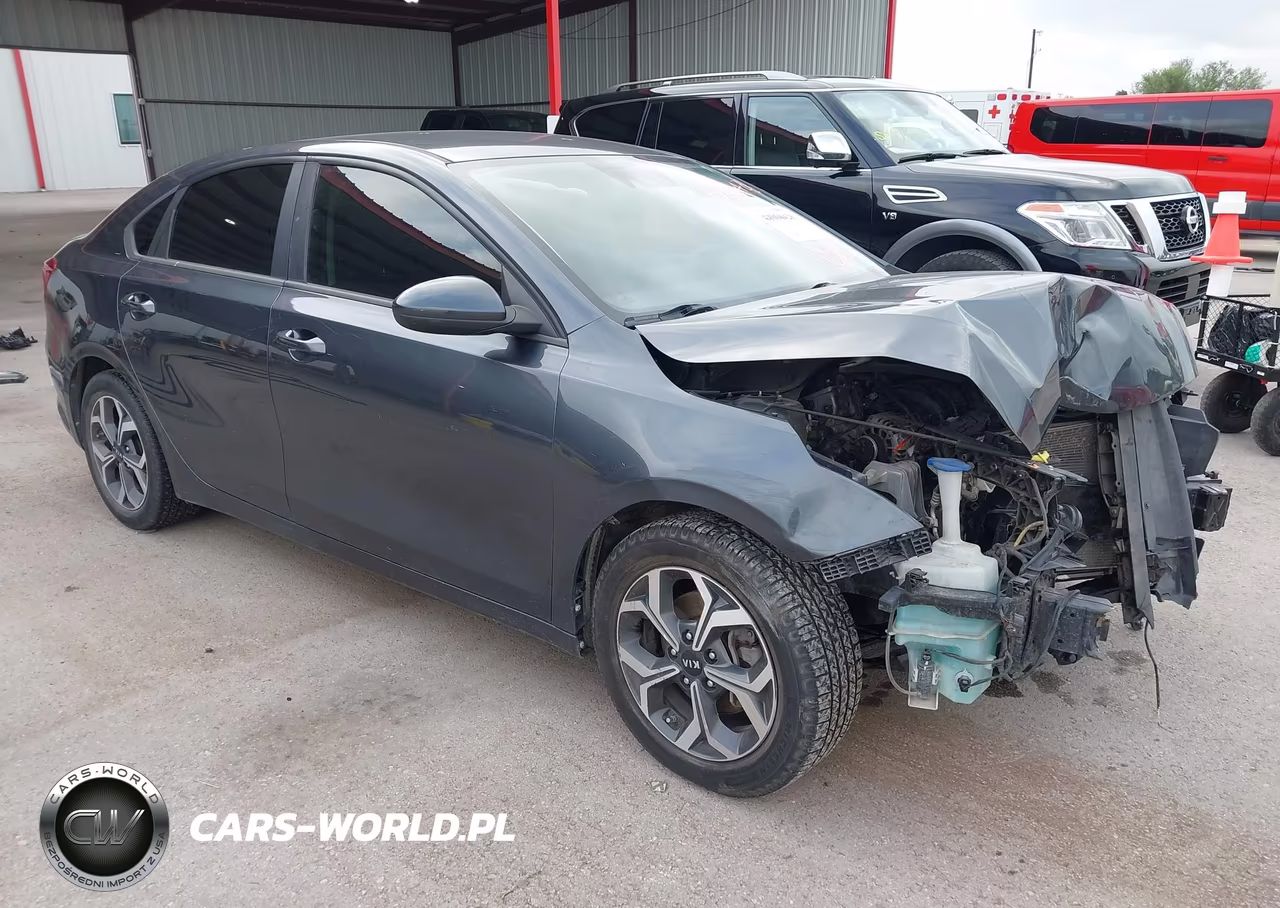2019 Kia Forte Lxs