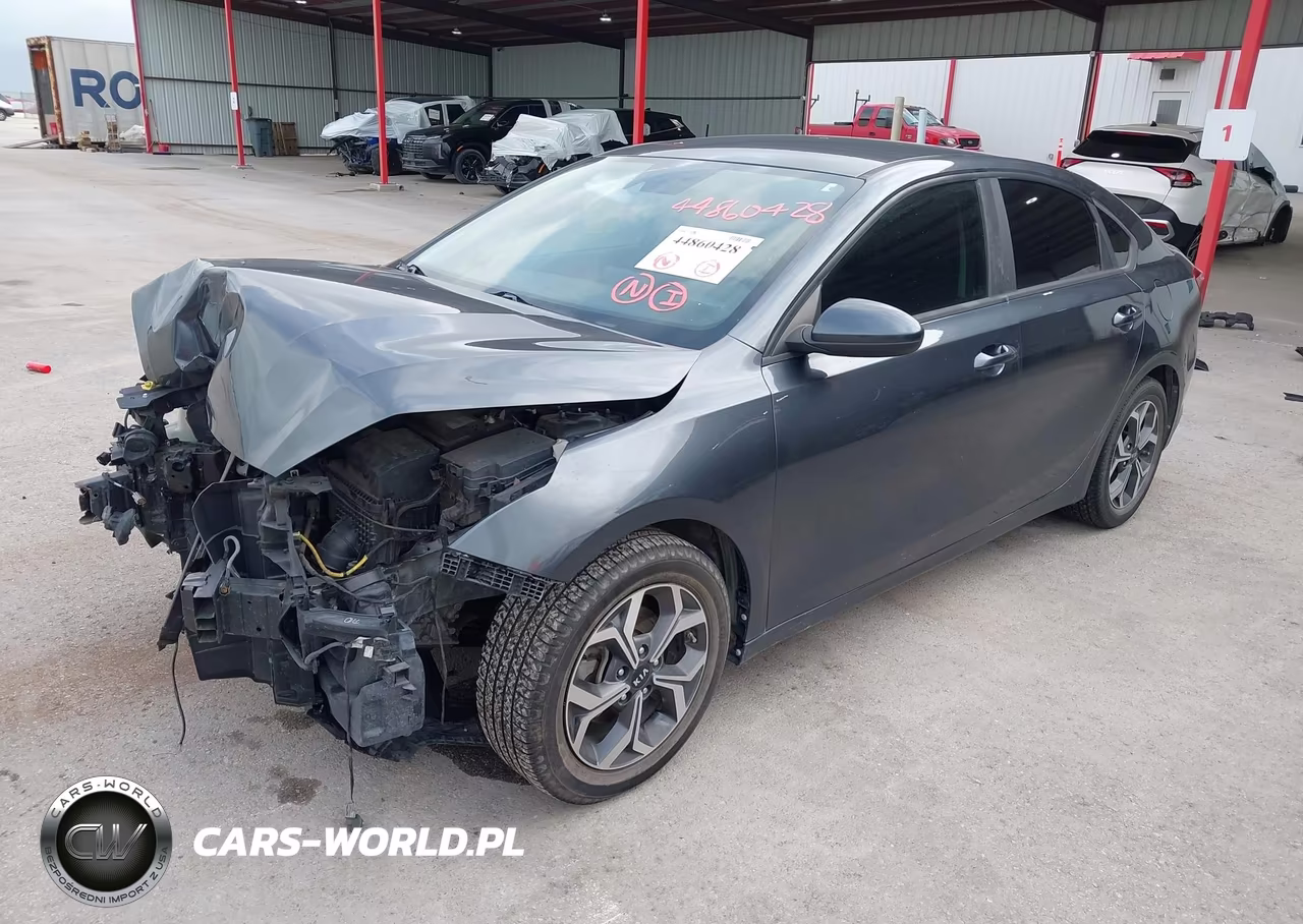 2019 Kia Forte Lxs VIN:3KPF24AD6KE111143 - 2