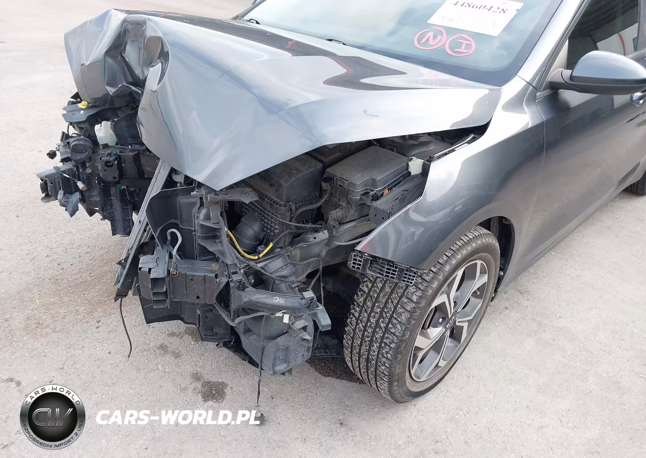 2019 Kia Forte Lxs VIN:3KPF24AD6KE111143 - 6