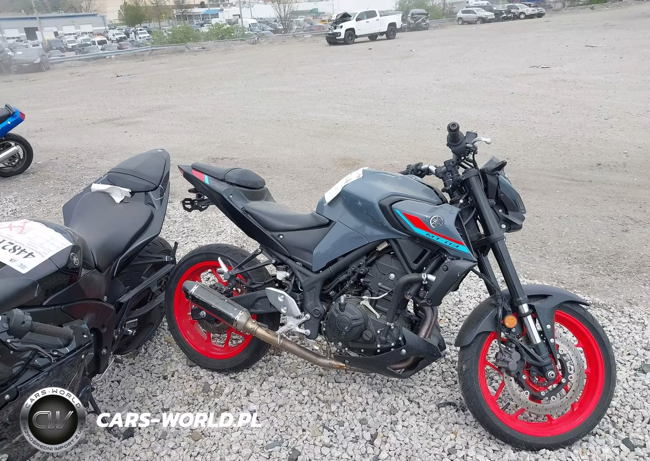 2021 Yamaha Mt-03 VIN:MH3RH20Y6MK004650 - 11