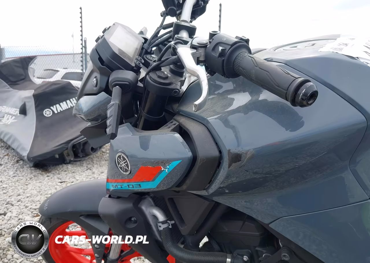2021 Yamaha Mt-03 VIN:MH3RH20Y6MK004650 - 13