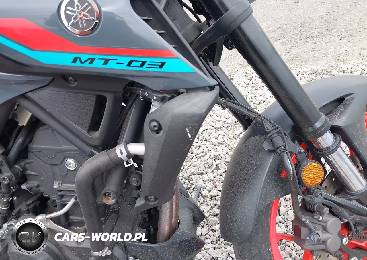 2021 Yamaha Mt-03 VIN:MH3RH20Y6MK004650 - 16