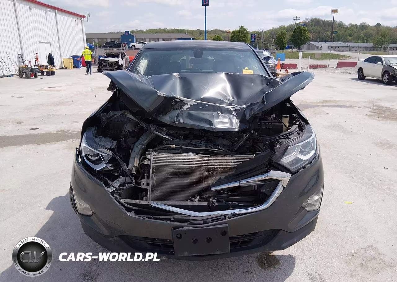 2019 Chevrolet Equinox Ls VIN:3GNAXHEV4KS662072 - 12
