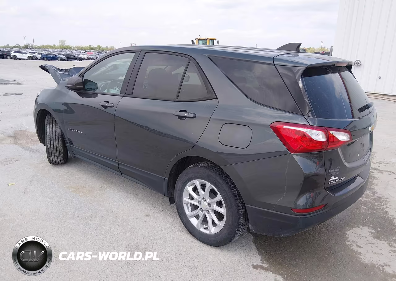 2019 Chevrolet Equinox Ls VIN:3GNAXHEV4KS662072 - 3