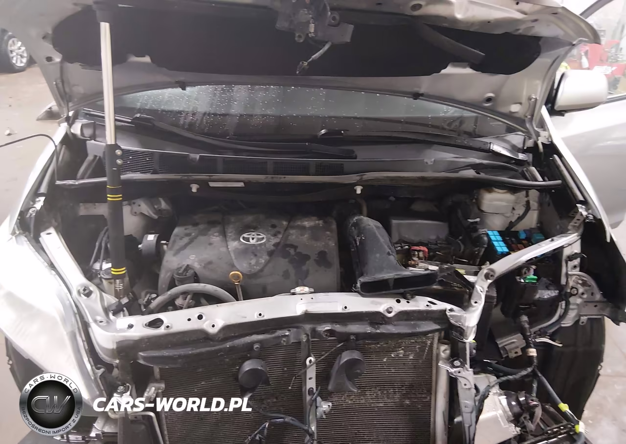 2020 Toyota Sienna Xle VIN:5TDYZ3DC2LS053735 - 10