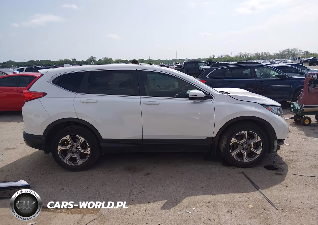 2019 Honda Cr-V Ex-L VIN:5J6RW1H8XKA031303 - 12