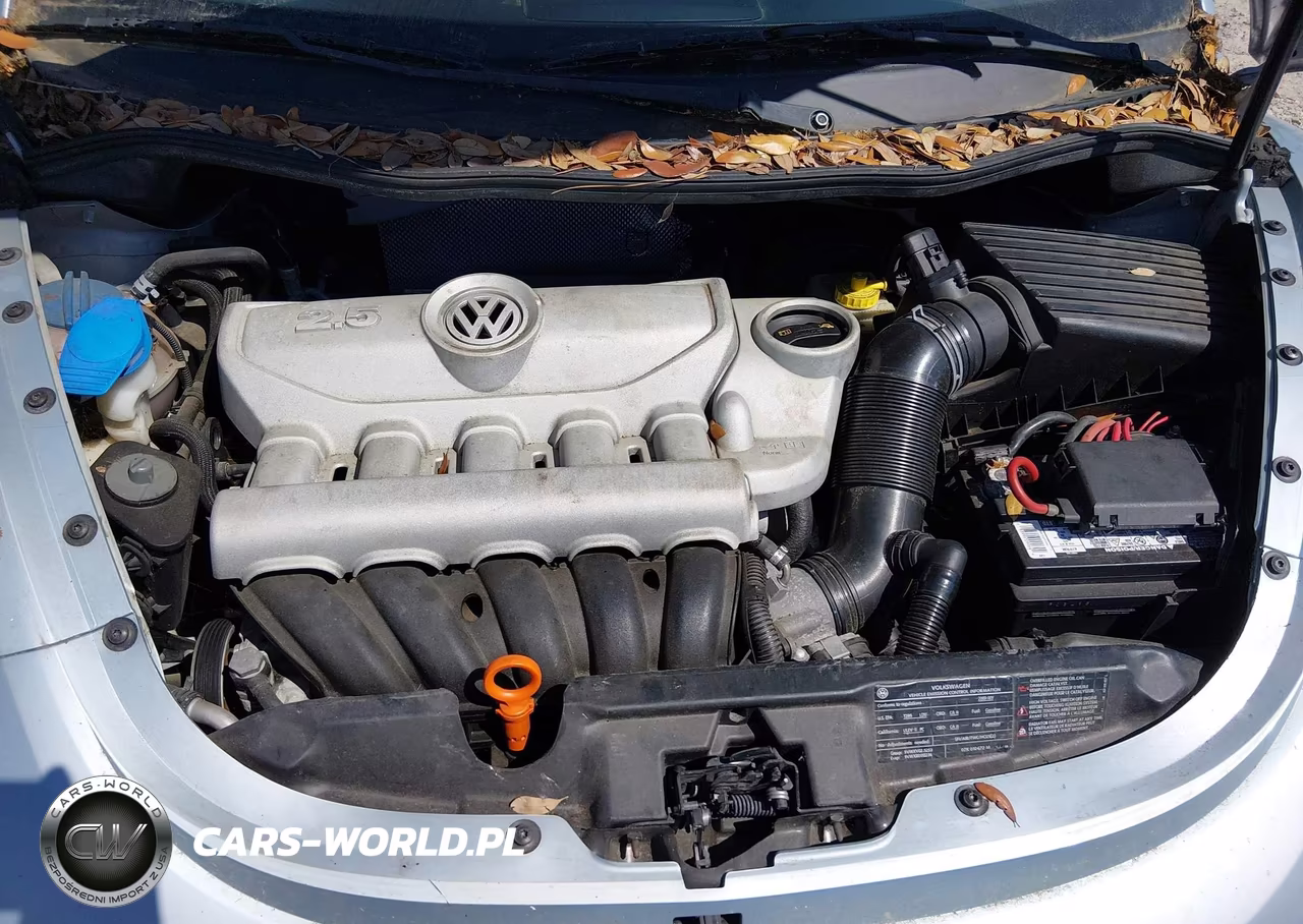 2009 Volkswagen New Beetle 2.5L VIN:3VWRF31Y19M408901 - 10