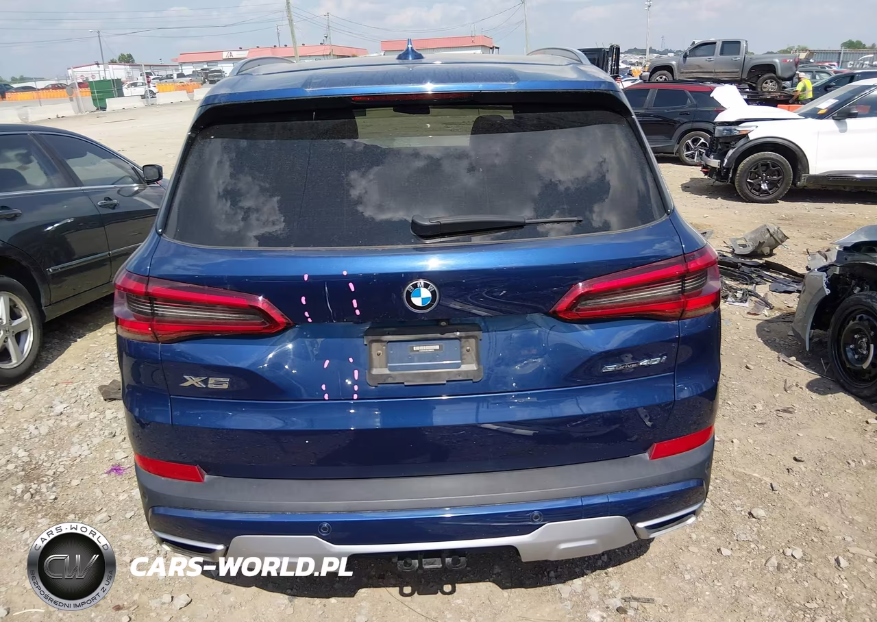 2020 BMW X5 Sdrive40I VIN:5UXCR4C03LLW64915 - 17