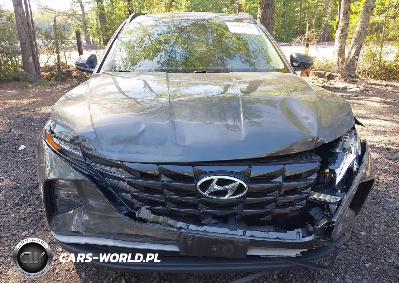 2022 Hyundai Tucson Sel VIN:5NMJBCAE7NH050640 - 12