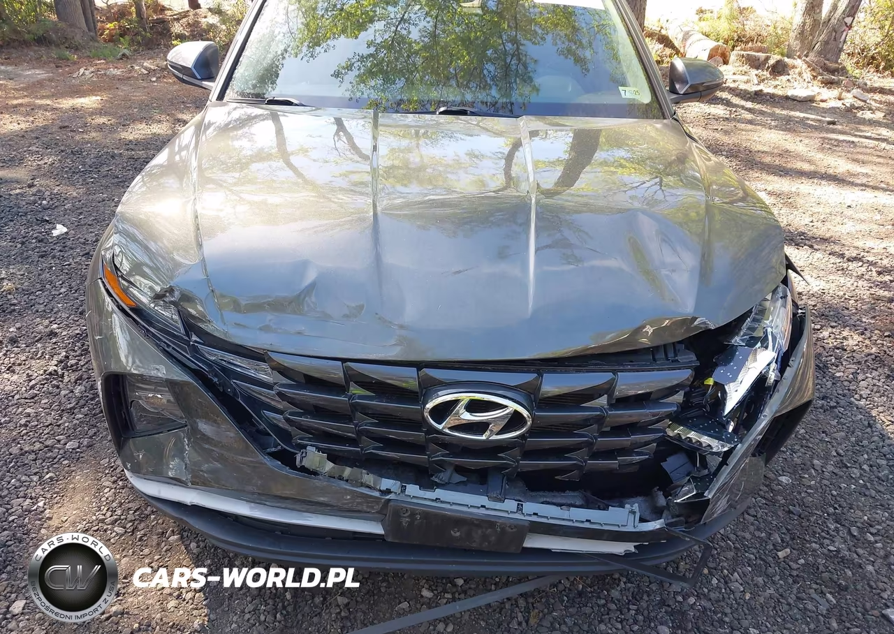 2022 Hyundai Tucson Sel VIN:5NMJBCAE7NH050640 - 6