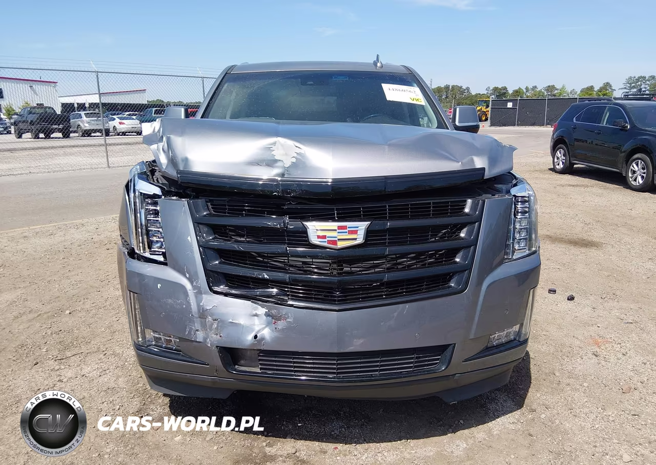 2020 Cadillac Escalade Esv 2Wd Luxury VIN:1GYS3HKJ1LR198635 - 12