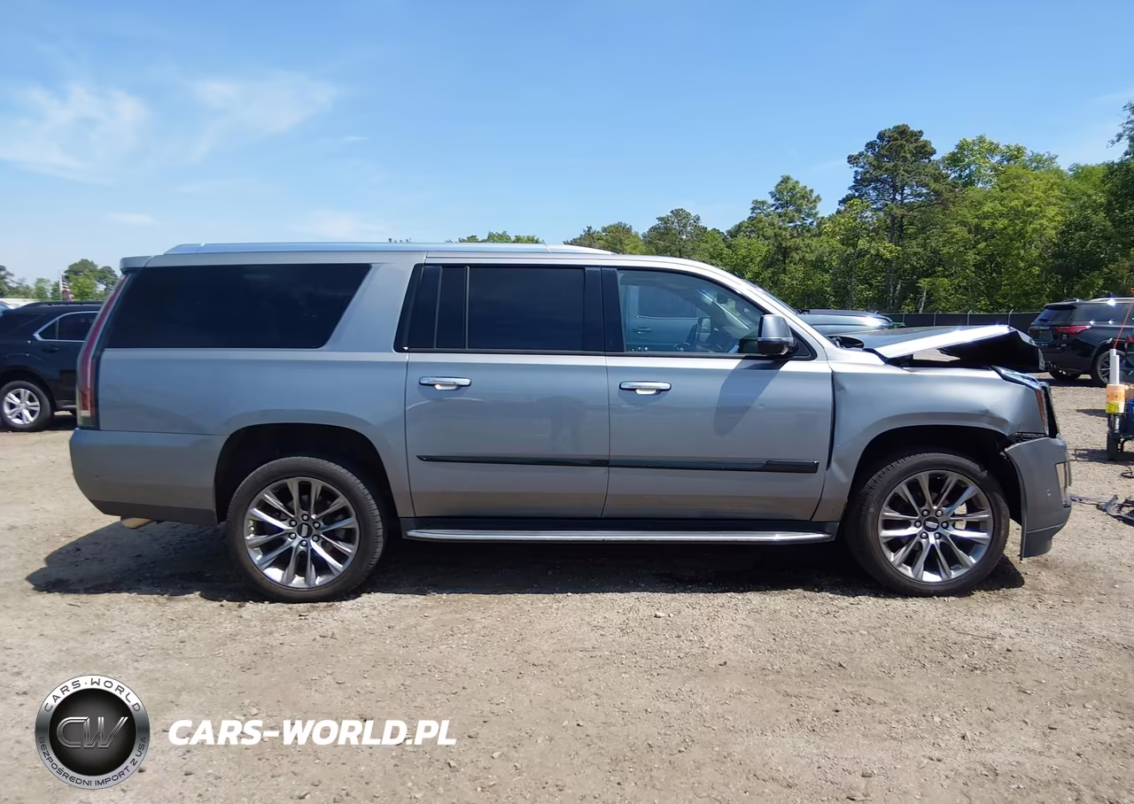 2020 Cadillac Escalade Esv 2Wd Luxury VIN:1GYS3HKJ1LR198635 - 13