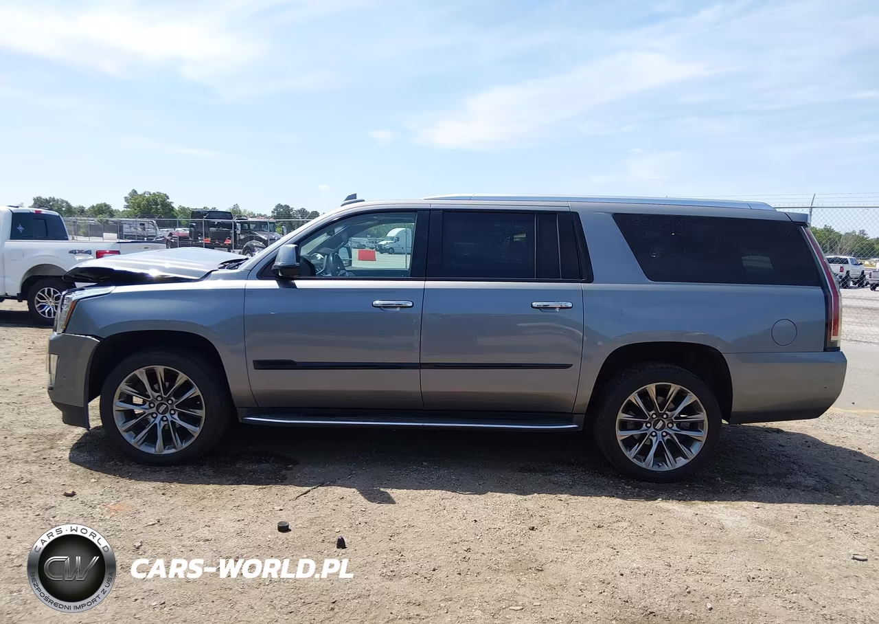 2020 Cadillac Escalade Esv 2Wd Luxury VIN:1GYS3HKJ1LR198635 - 14