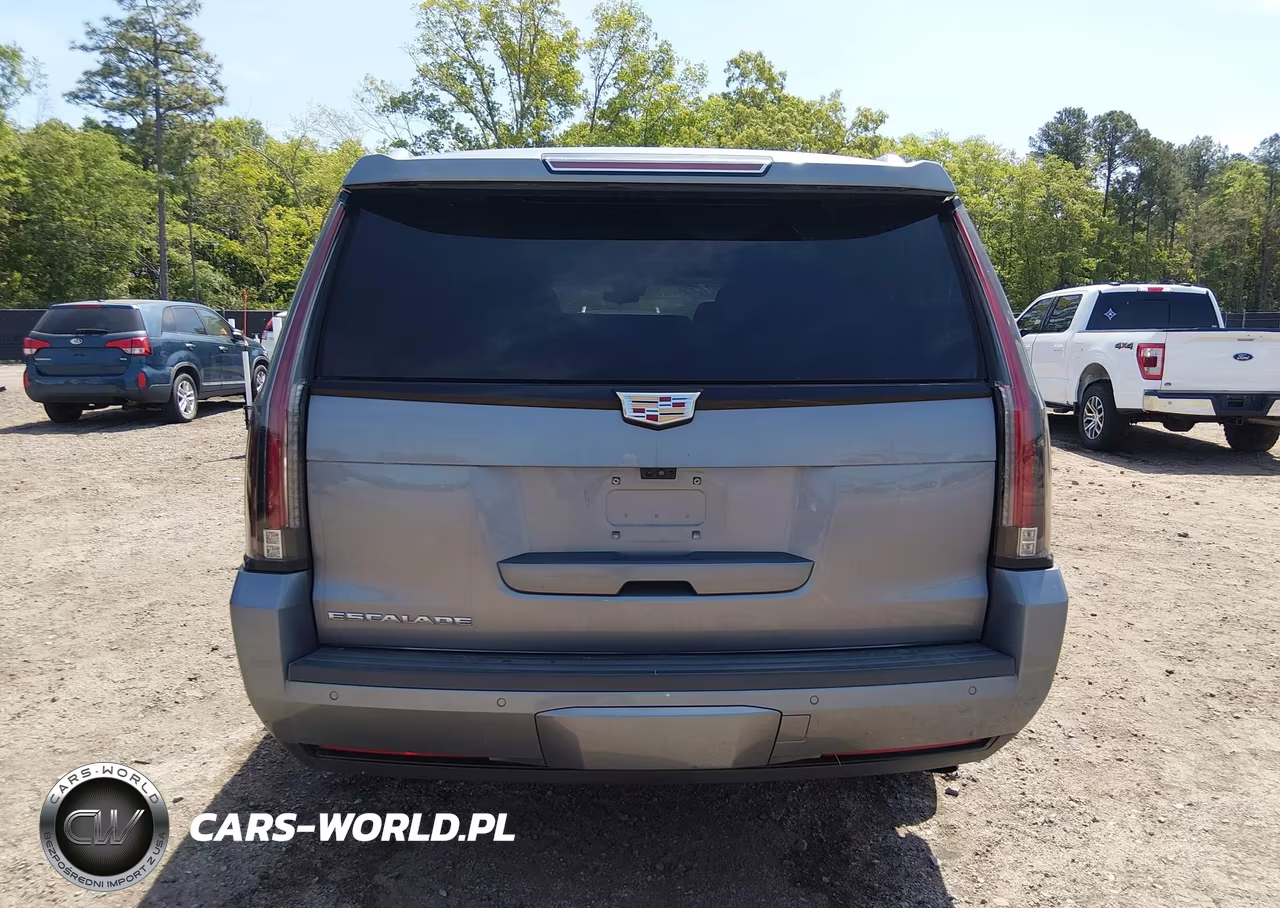 2020 Cadillac Escalade Esv 2Wd Luxury VIN:1GYS3HKJ1LR198635 - 16