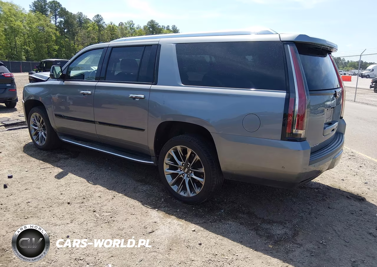 2020 Cadillac Escalade Esv 2Wd Luxury VIN:1GYS3HKJ1LR198635 - 3