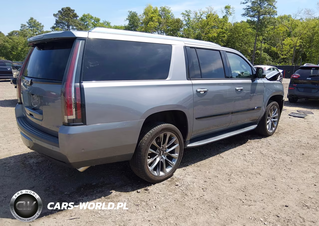 2020 Cadillac Escalade Esv 2Wd Luxury VIN:1GYS3HKJ1LR198635 - 4