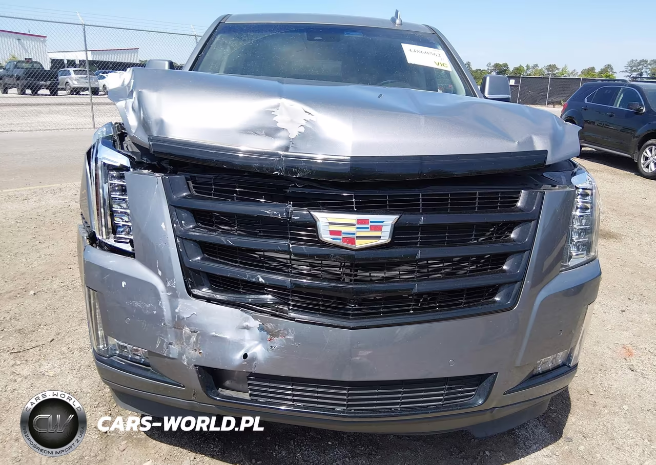 2020 Cadillac Escalade Esv 2Wd Luxury VIN:1GYS3HKJ1LR198635 - 6