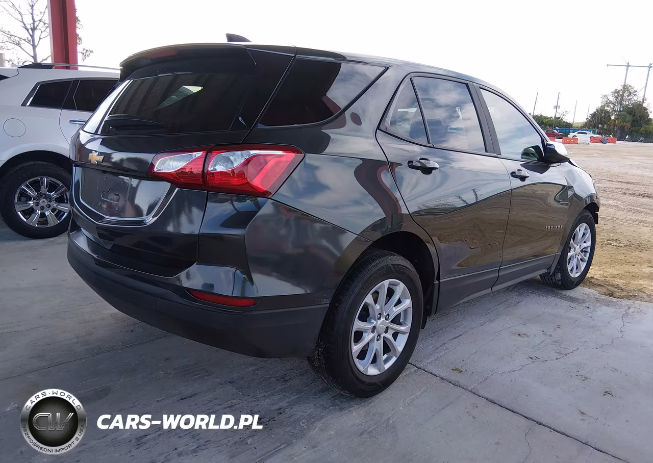 2020 Chevrolet Equinox Fwd Ls VIN:3GNAXHEV0LS638384 - 4