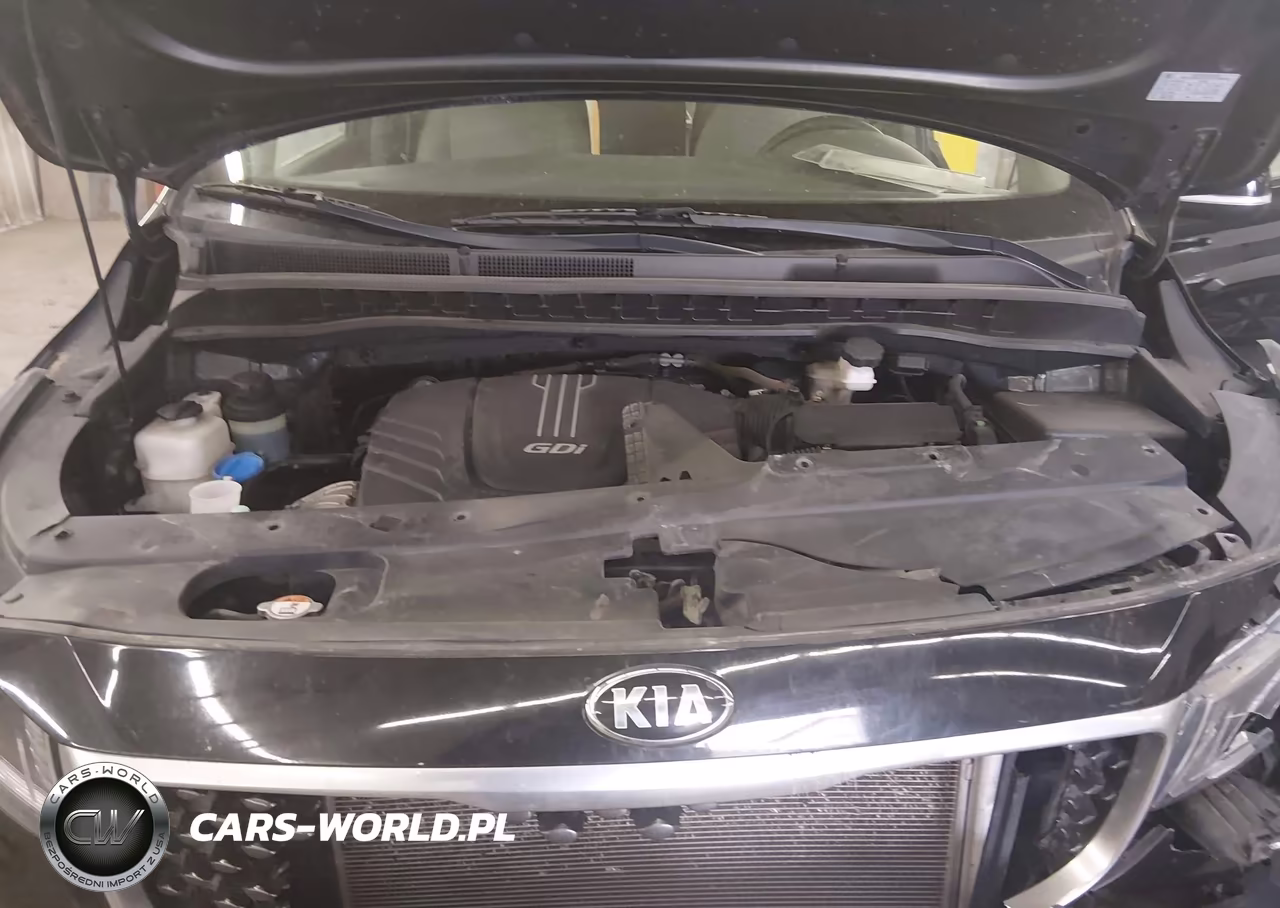 2016 Kia Sedona Lx VIN:KNDMB5C11G6178424 - 10