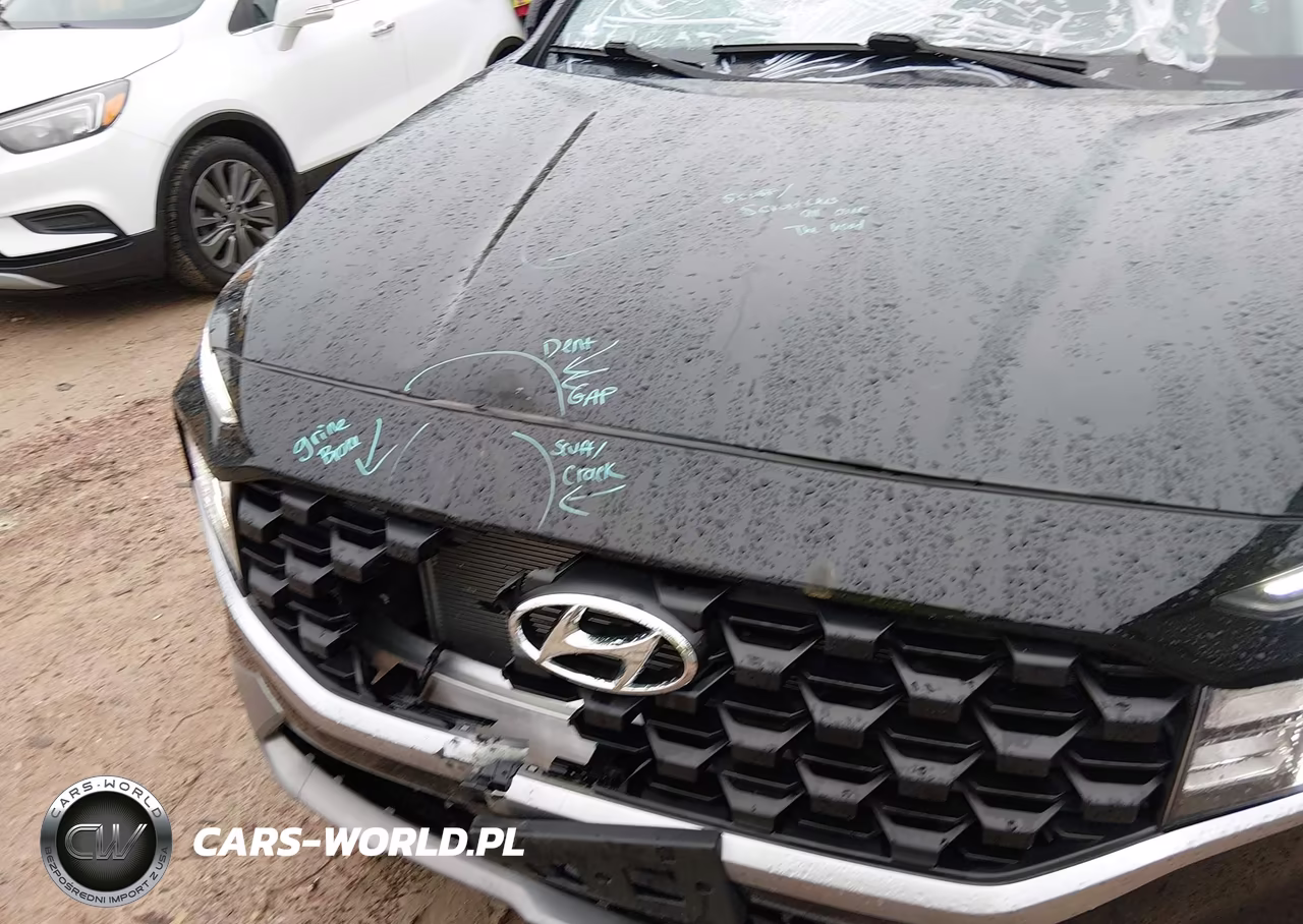 2023 Hyundai Santa Fe Sel VIN:5NMS2DAJ8PH578259 - 12
