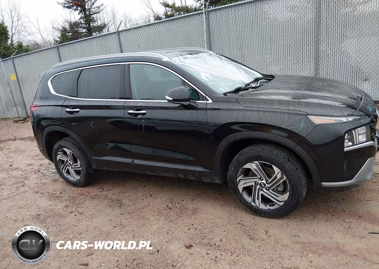 2023 Hyundai Santa Fe Sel VIN:5NMS2DAJ8PH578259 - 14