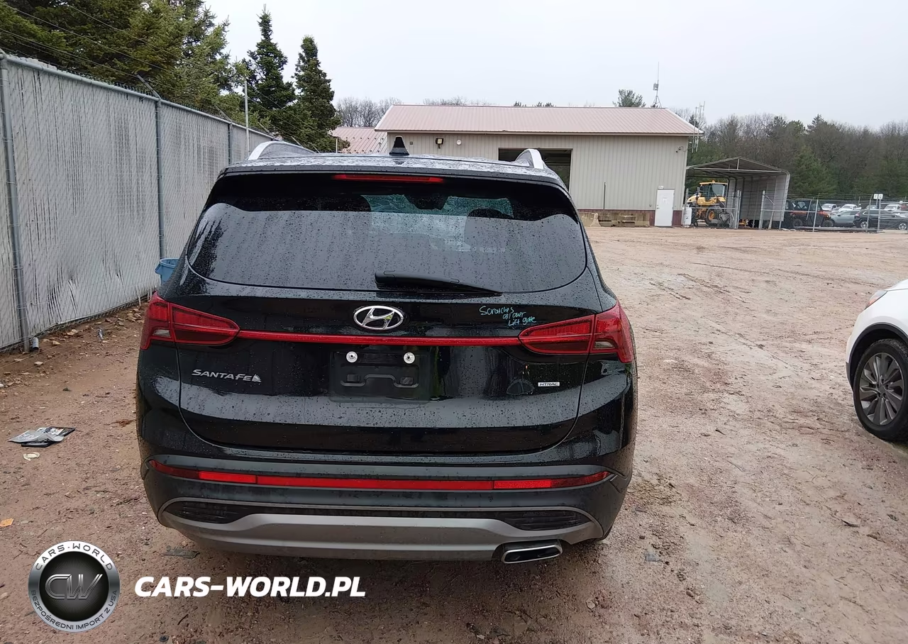 2023 Hyundai Santa Fe Sel VIN:5NMS2DAJ8PH578259 - 17